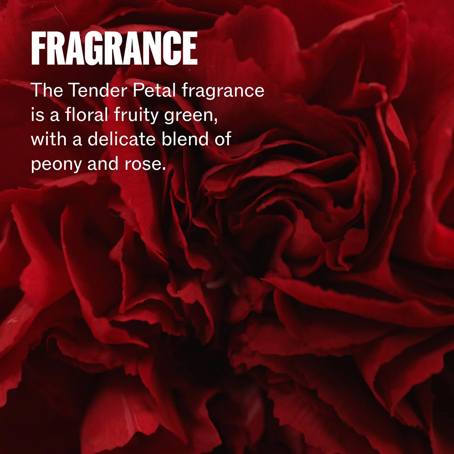 Ultimate Miracle Rescue